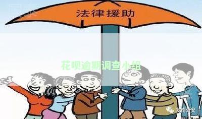 花呗逾期调查小组