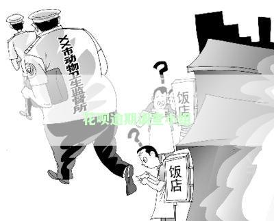 花呗逾期调查小组
