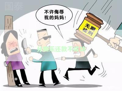 分期乐还款不成功