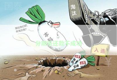 分期乐还款不成功